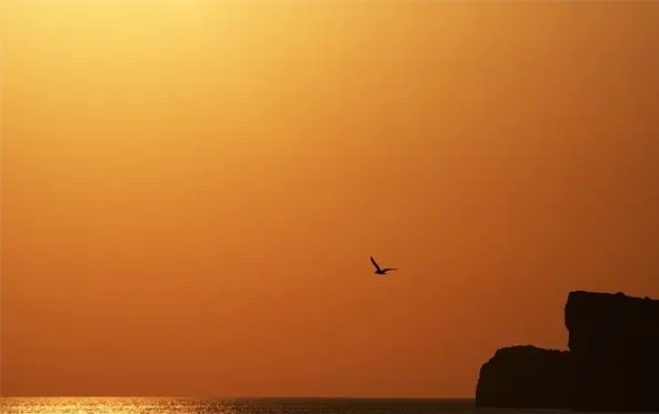 Bootsausflüge Murter Sunset